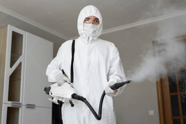 Why You Should Choose Our Mold Remediation Services in Parsons, KS