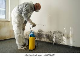 Trusted Parsons, KS Mold Removal Services Experts